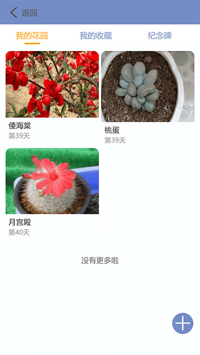 东篱花草截图