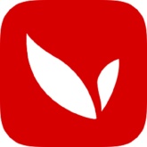 月光影视仓TV