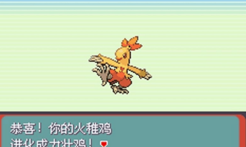 口袋妖怪究极绿宝石魔法棒版截图