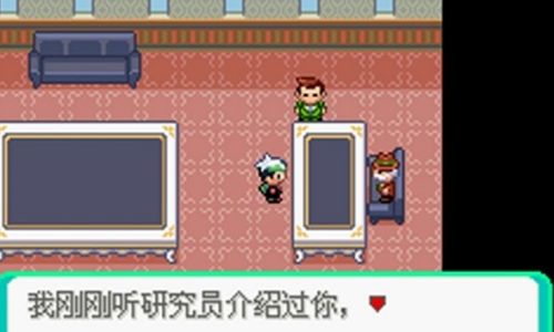口袋妖怪究极绿宝石魔法棒版截图