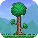 泰拉瑞亚1.4.5.6皮皮蛙汉化版v1.4.5.6.4