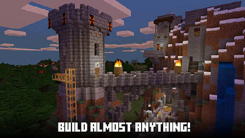com.mojang.minecraftpe截图