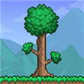 Terraria1.4.4.9