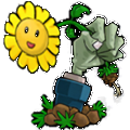 植物大战僵尸卡牌游戏