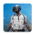 pubgmobile正版v4.5.0