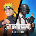 绝地求生台服