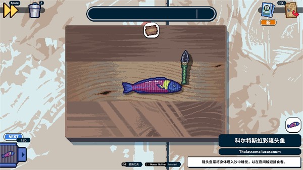 深海刮刮乐截图