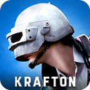 minipubgv4.5.0