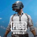 pubg地铁逃生正版(PUBGMOBILE)