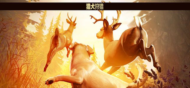 猎鹿人神枪手(AmericanMarksman)截图