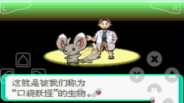 口袋妖怪漆黑的魅影50exbw截图