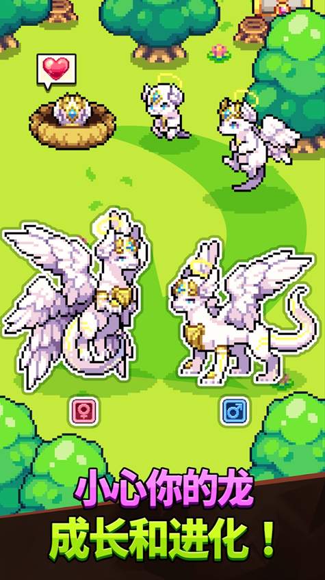 DragonMasters游戏截图