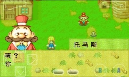 牧场物语风之集市手机版截图