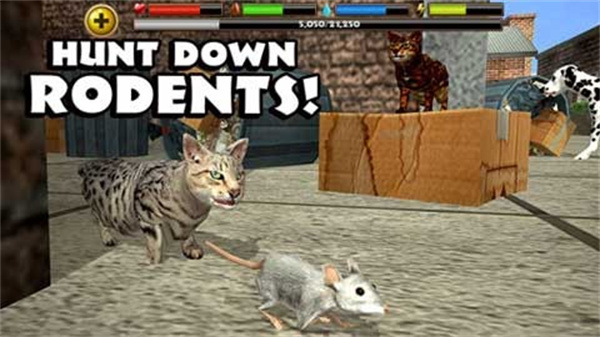流浪猫模拟器(StrayCatSim)截图