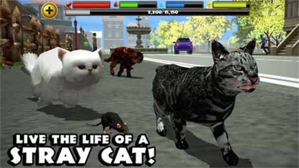 流浪猫模拟器(StrayCatSim)截图