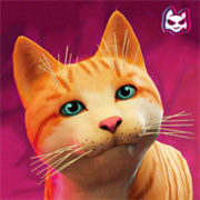 流浪猫模拟器(StrayCatSim)