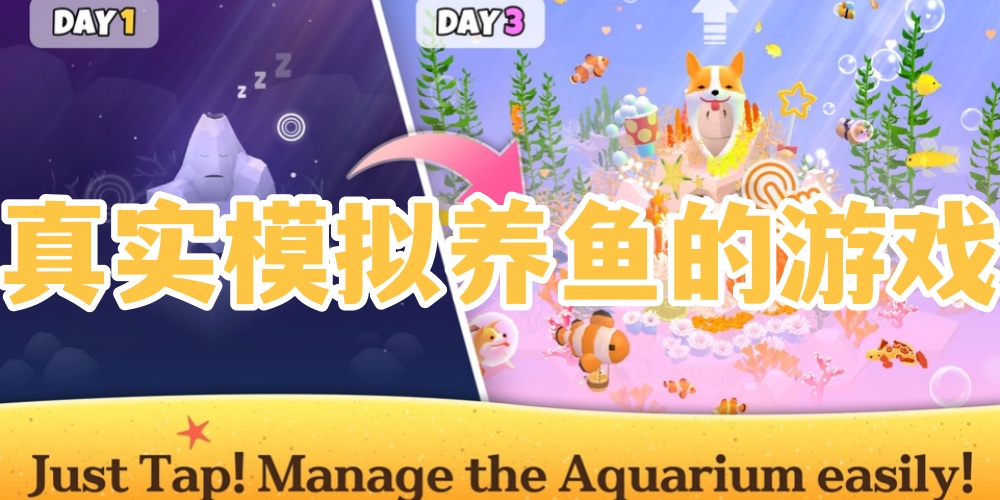 真实模拟养鱼的游戏