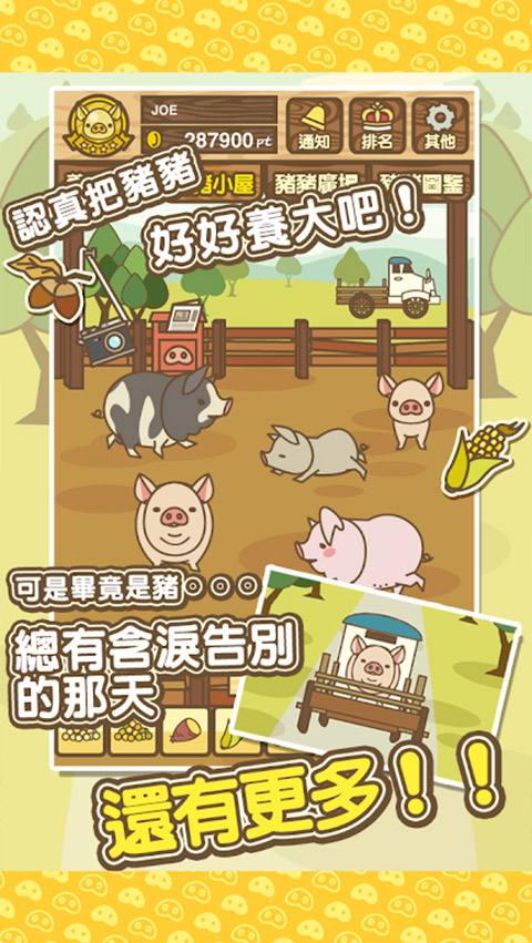 养猪场mix截图
