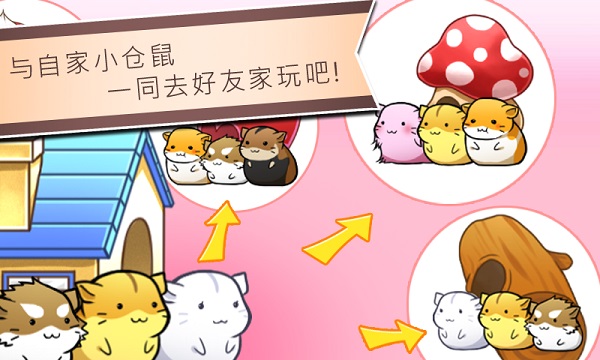 仓鼠的日常截图