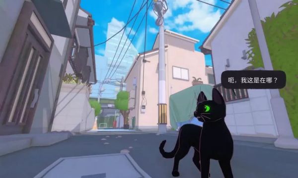 小猫咪大城市(little kitty big city)截图