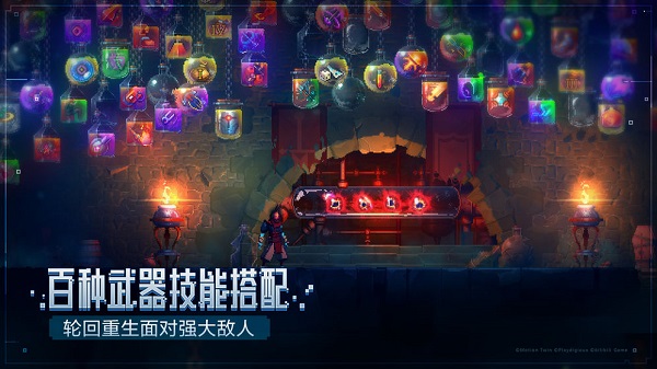 重生细胞官方版截图