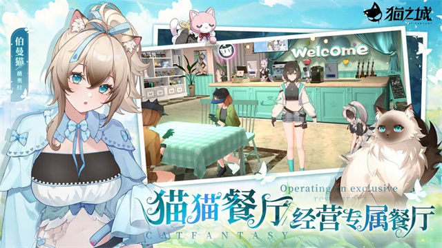 猫之城截图1