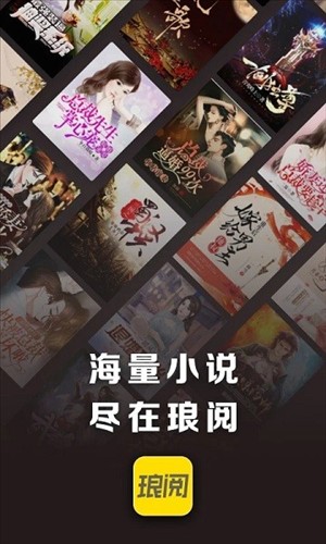 琅阅小说截图