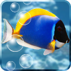 水族馆屏保下载 水族馆屏保（V9.4.6）测试版