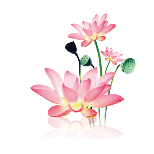 水墨工具箱下载 水墨工具箱（V10.4.2）手机版