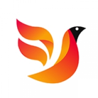 火鸟影视下载 火鸟影视（V6.8.2）合击版