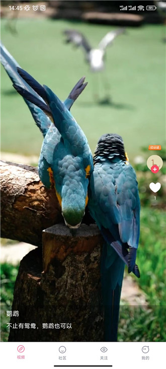 兰莓短视频截图