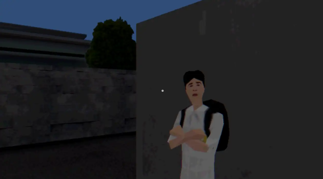 皮卡布宁静的夜晚截图