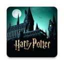 哈利波特霍格沃茨之谜安卓版