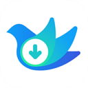 云雀视频下载器