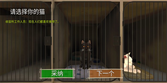 顽皮猫生活模拟截图