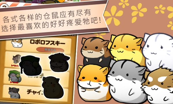 仓鼠的日常截图5