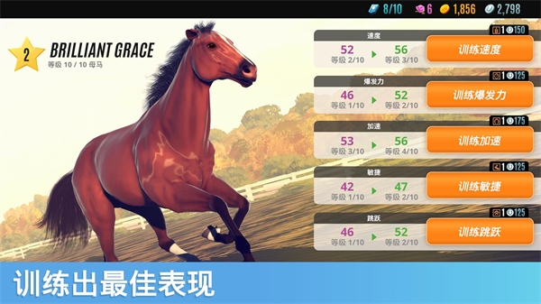 家族传奇马匹养成竞技截图
