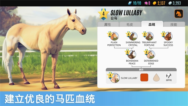 家族传奇马匹养成竞技截图