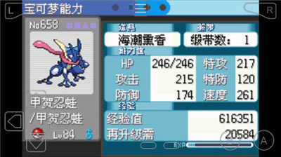 口袋妖怪雪之白截图2