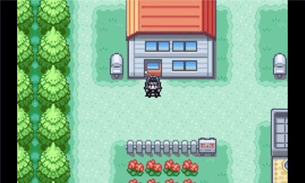 口袋妖怪火红叶绿截图