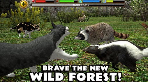 流浪猫模拟器截图1