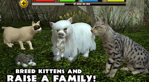 流浪猫模拟器截图4
