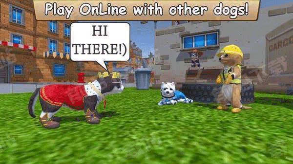 美国Zoom动物截图