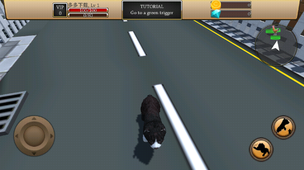 美国Zoom动物截图