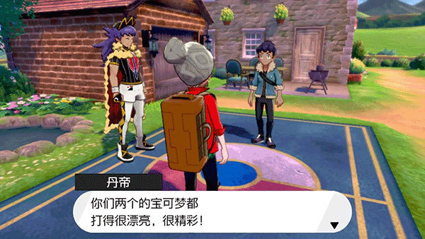 宝可梦剑盾截图3