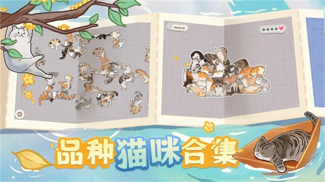 挤在一起的猫猫截图4