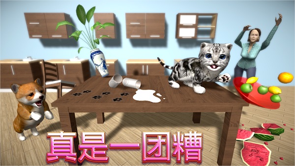 猫咪模拟器截图
