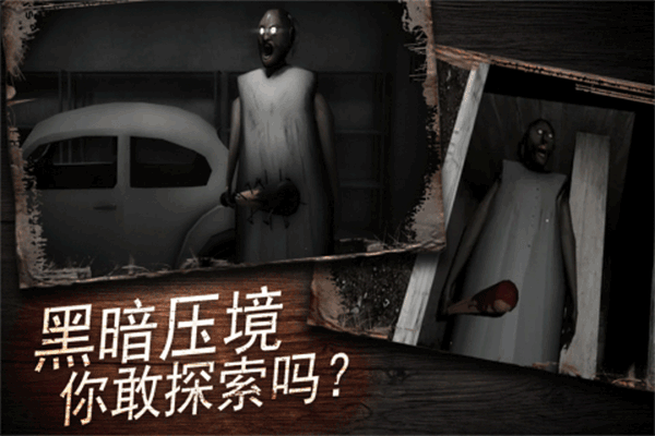 奶奶别追我截图