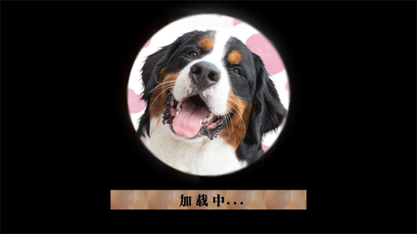 流浪狗模拟器截图1