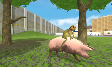 神奇青蛙手机版截图